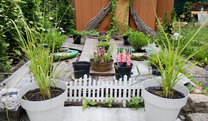 Działka rod Gliwice Zatorze, ul. Towarowa