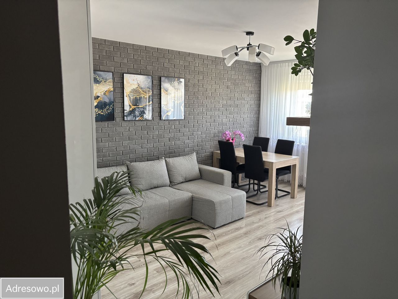 Mieszkanie 3-pokojowe Brwinów, ul. Sportowa