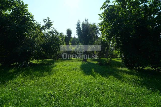 Działka Krępa. Zdjęcie 6