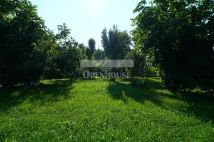 Działka Krępa. Zdjęcie 4