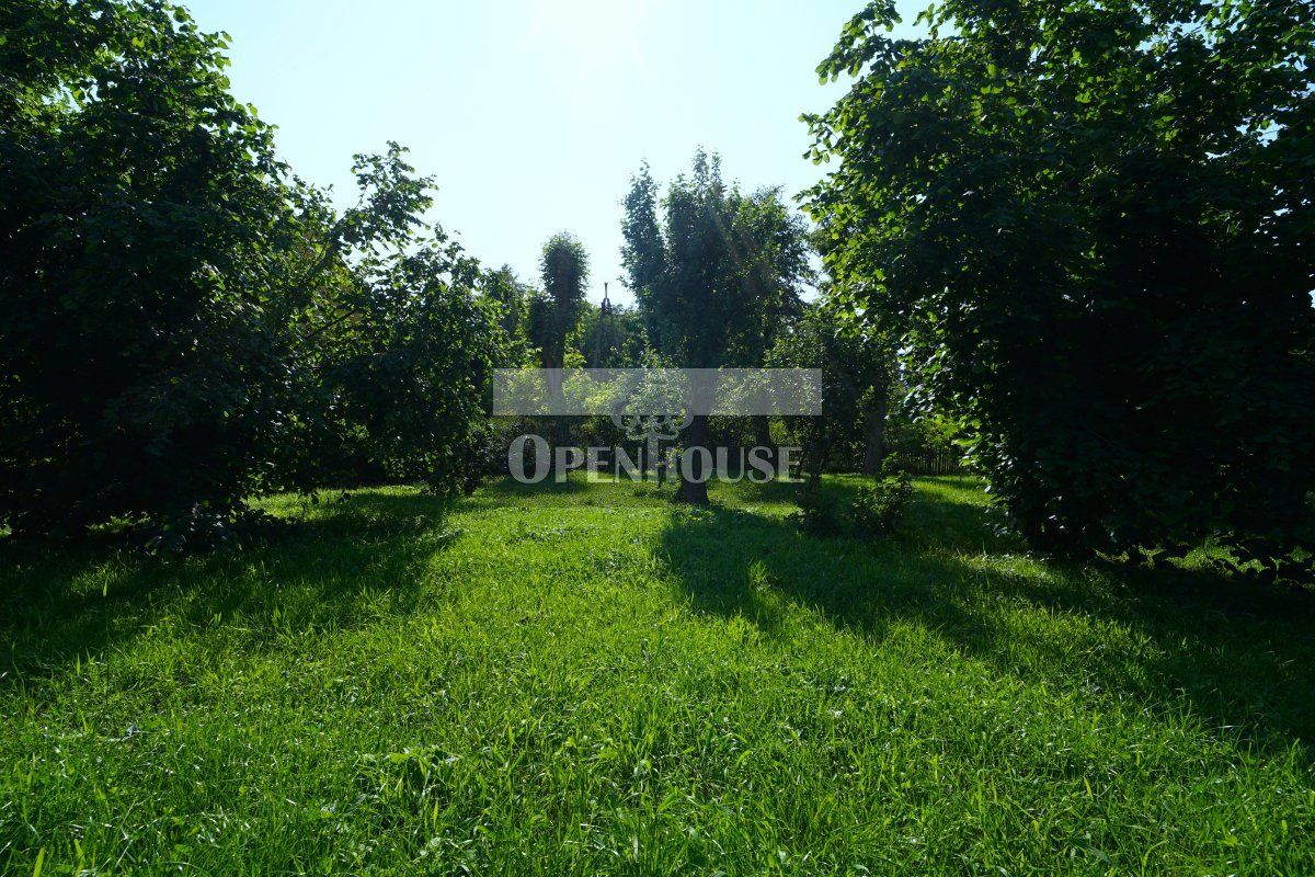 Działka Krępa. Zdjęcie 6