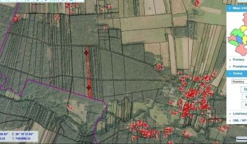 Działka leśna Jeruzal