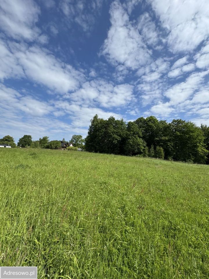 Działka Głogoczów. Zdjęcie 1