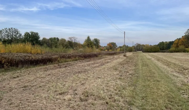 Działka inwestycyjna Opacz-Kolonia