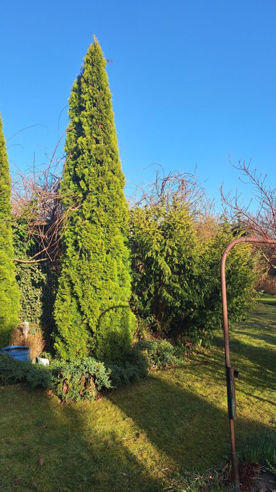 Działka rod Koszalin Północ, ul. Aleja Europejska. Zdjęcie 12