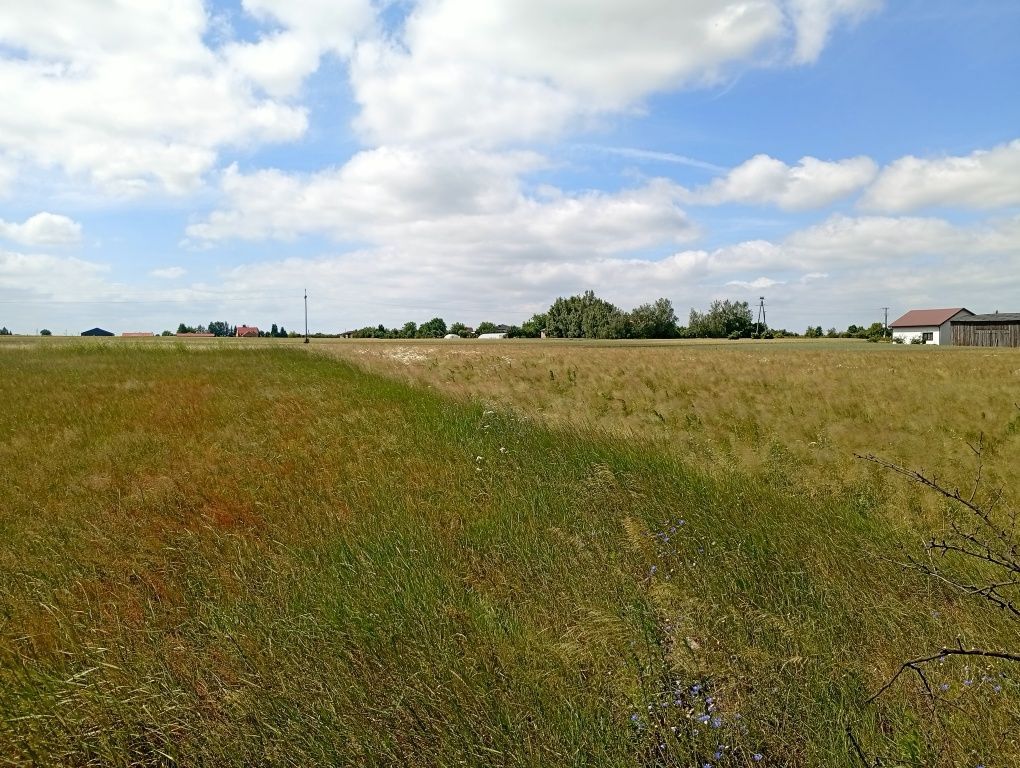 Działka budowlana Gołaszewo. Zdjęcie 6