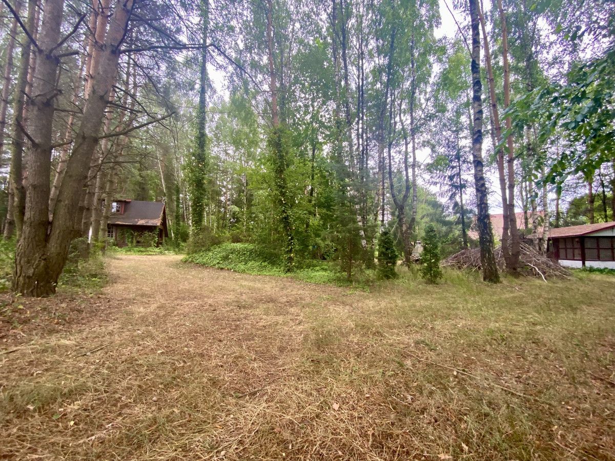 Działka Ldzań. Zdjęcie 22