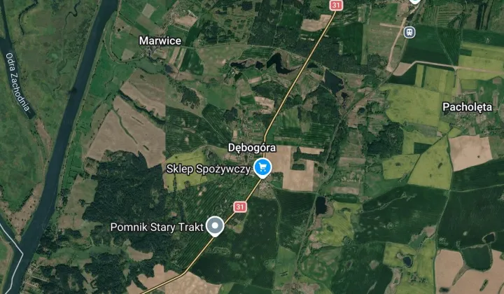 Działka rolna Dębogóra