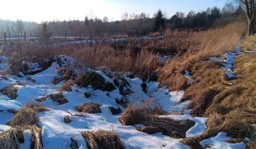 Działka na sprzedaż bez pośredników          
          
            ul. Leśna          
          
            Końskie - Widok 5