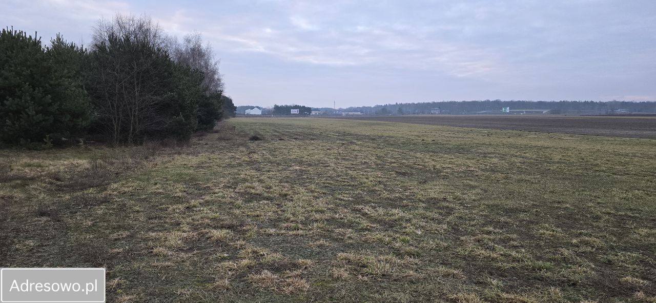 Działka inwestycyjna Serock. Zdjęcie 3