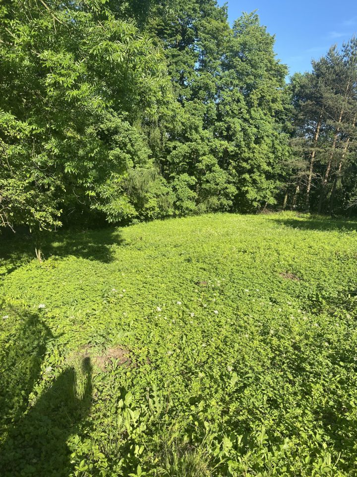 Działka budowlana Rybna Kucoroszec, ul. Górna. Zdjęcie 4