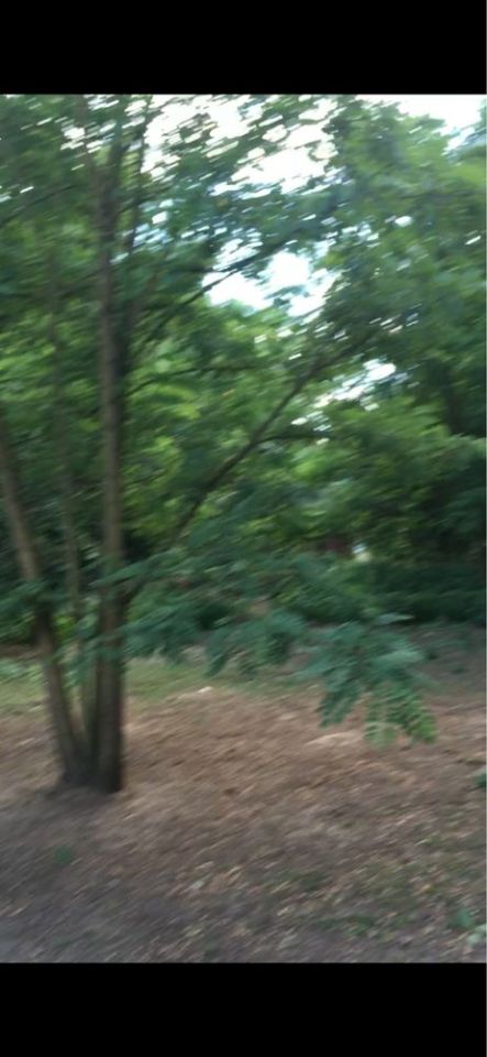 Działka rolno-budowlana Sądów. Zdjęcie 3