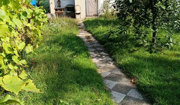 Działka rod Poznań Jeżyce, ul. Wichrowa