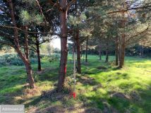 Działka rekreacyjna Wytyczno. Zdjęcie 1