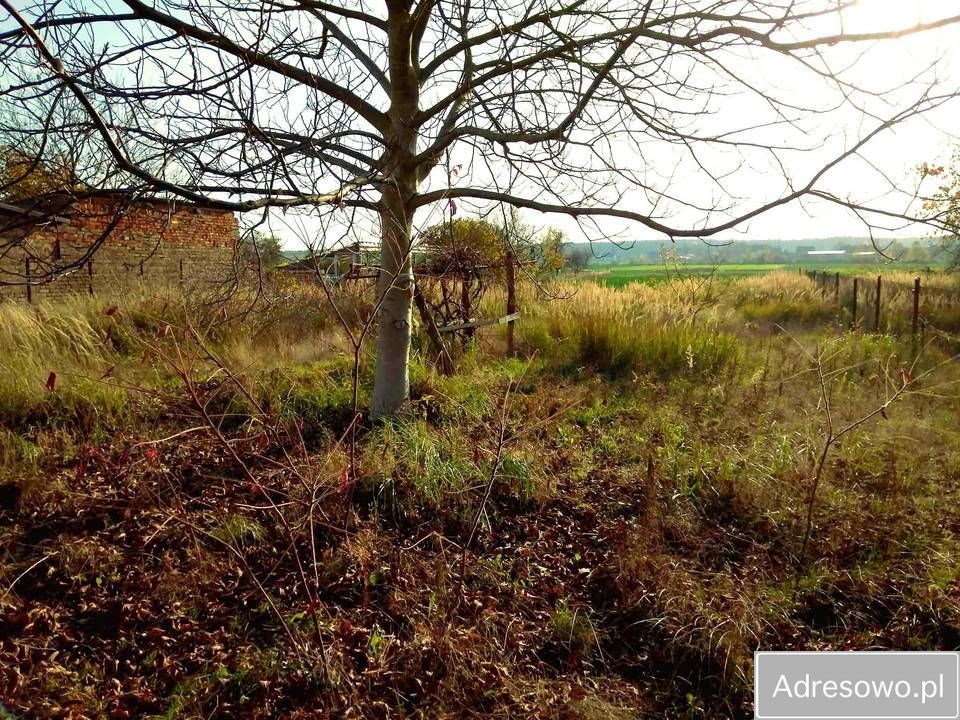 Działka siedliskowa Boleszkowice. Zdjęcie 6