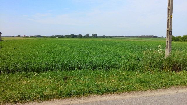 Działka rolno-budowlana Jabłonka-Świerczewo. Zdjęcie 1