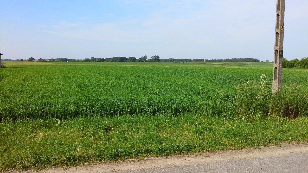 Działka rolno-budowlana Jabłonka-Świerczewo