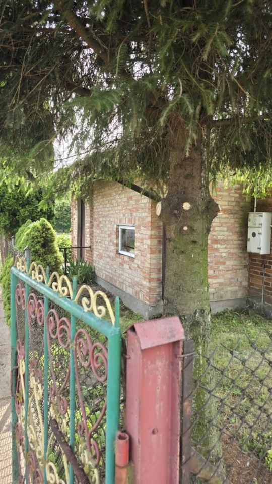 Działka siedliskowa Drogiszka. Zdjęcie 7