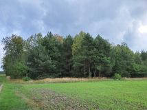 Działka leśna Grodziec. Zdjęcie 2