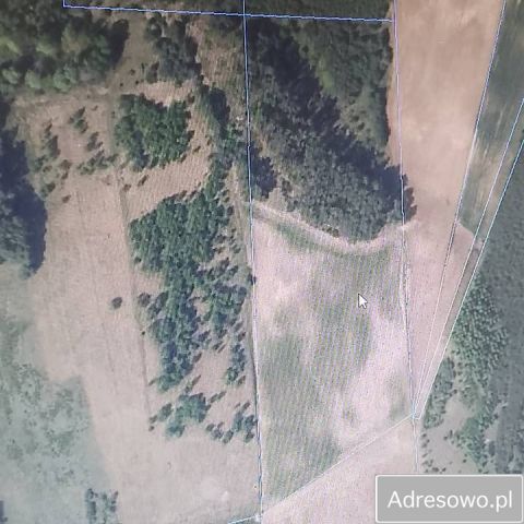 Działka rolna Bratuszewo. Zdjęcie 1