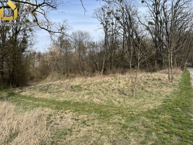 Działka budowlana Maszna. Zdjęcie 3