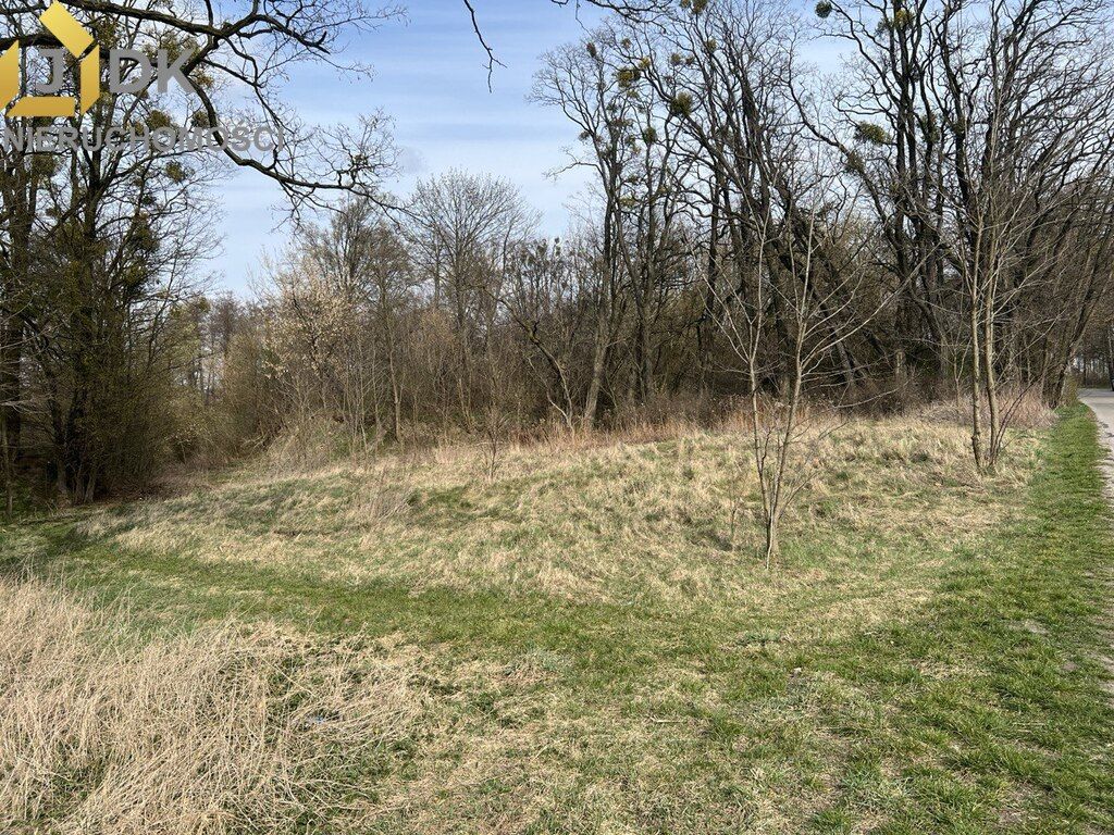 Działka budowlana Maszna. Zdjęcie 3
