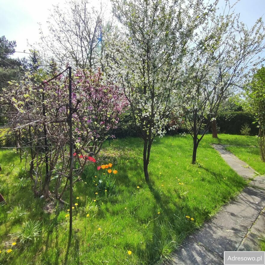 Działka rod Zabierzów. Zdjęcie 9