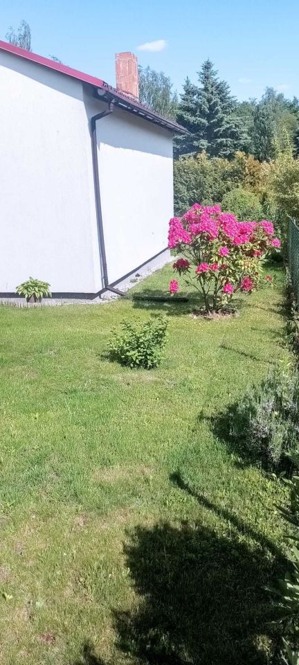 Działka rod Swarzędz. Zdjęcie 6