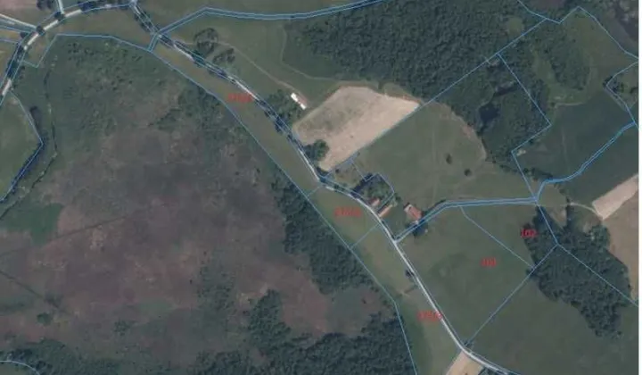 Działka rolna Żabin Graniczny