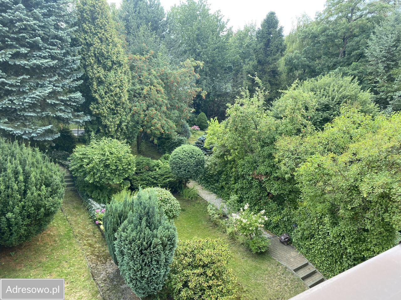 Mieszkanie 3-pokojowe Katowice Śródmieście. Zdjęcie 13