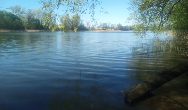 Działka siedliskowa Stobno