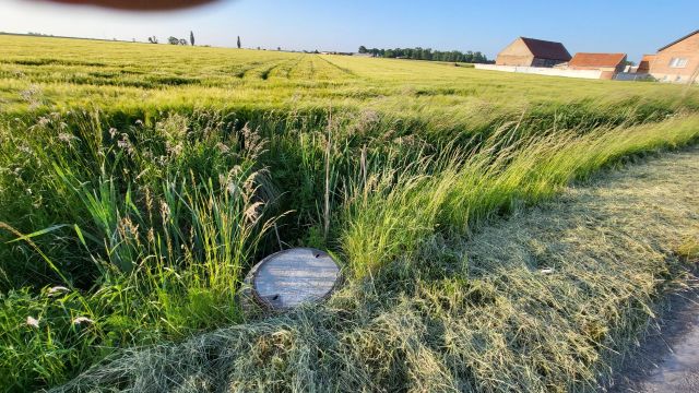Działka rolno-budowlana Konary. Zdjęcie 4