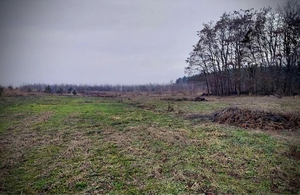 Działka rolna Edwardowo. Zdjęcie 2