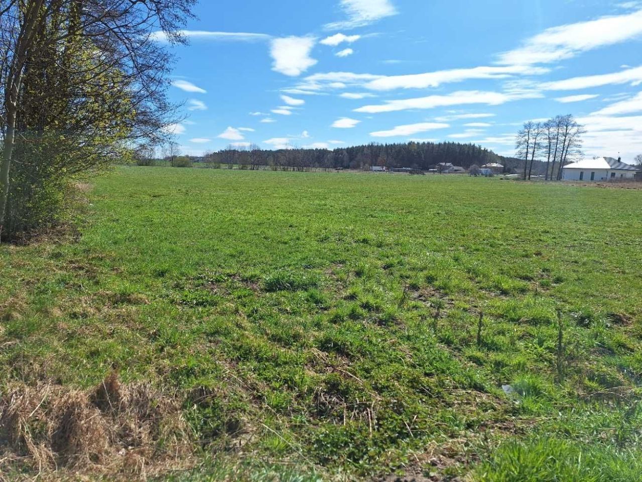 Działka rolna Chojeczno-Sybilaki