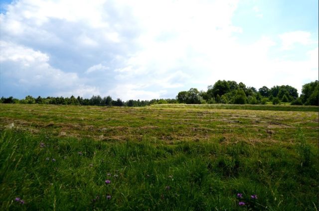 Działka budowlana Łomna. Zdjęcie 1