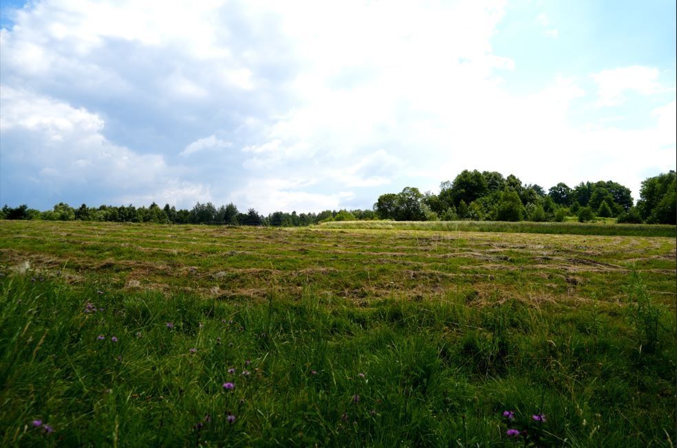 Działka budowlana Łomna