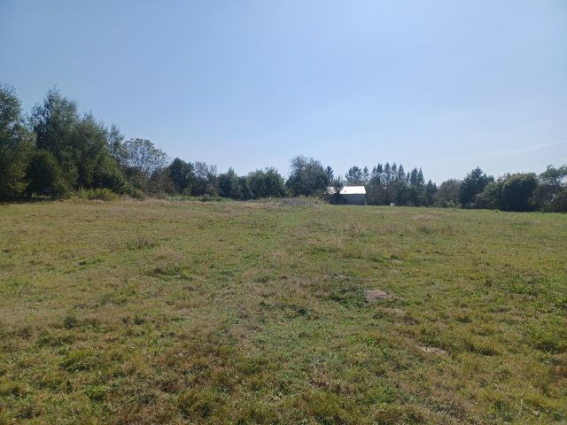 Działka rolno-budowlana Korczyna. Zdjęcie 7