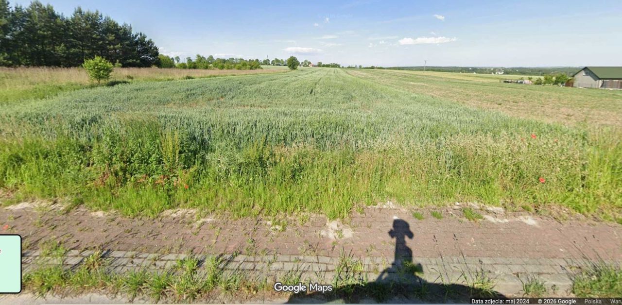 Działka rolno-budowlana Borszowice. Zdjęcie 1