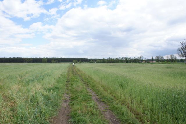 Działka rolno-budowlana Boruja. Zdjęcie 1