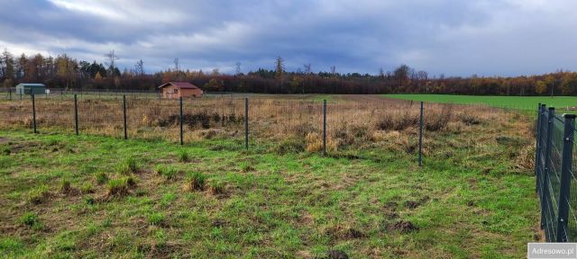 Działka rolno-budowlana Widlino. Zdjęcie 1