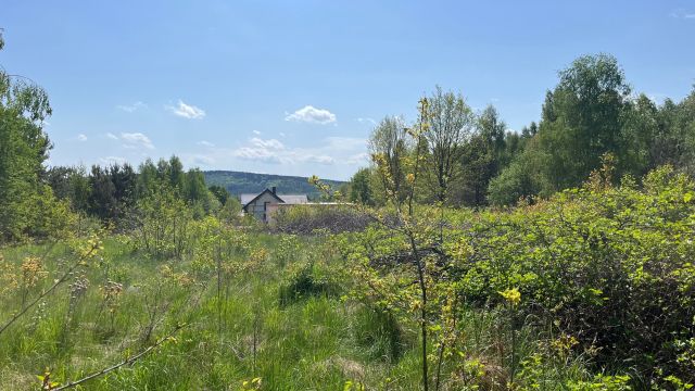 Działka budowlana Ćmińsk, ul. Jesionowa. Zdjęcie 1