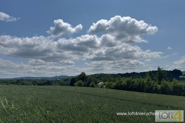 Działka budowlana Tuchów. Zdjęcie 6