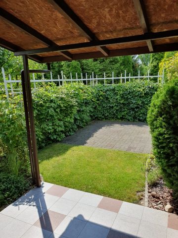 Działka rod Koninko, ul. Porzeczkowa. Zdjęcie 9