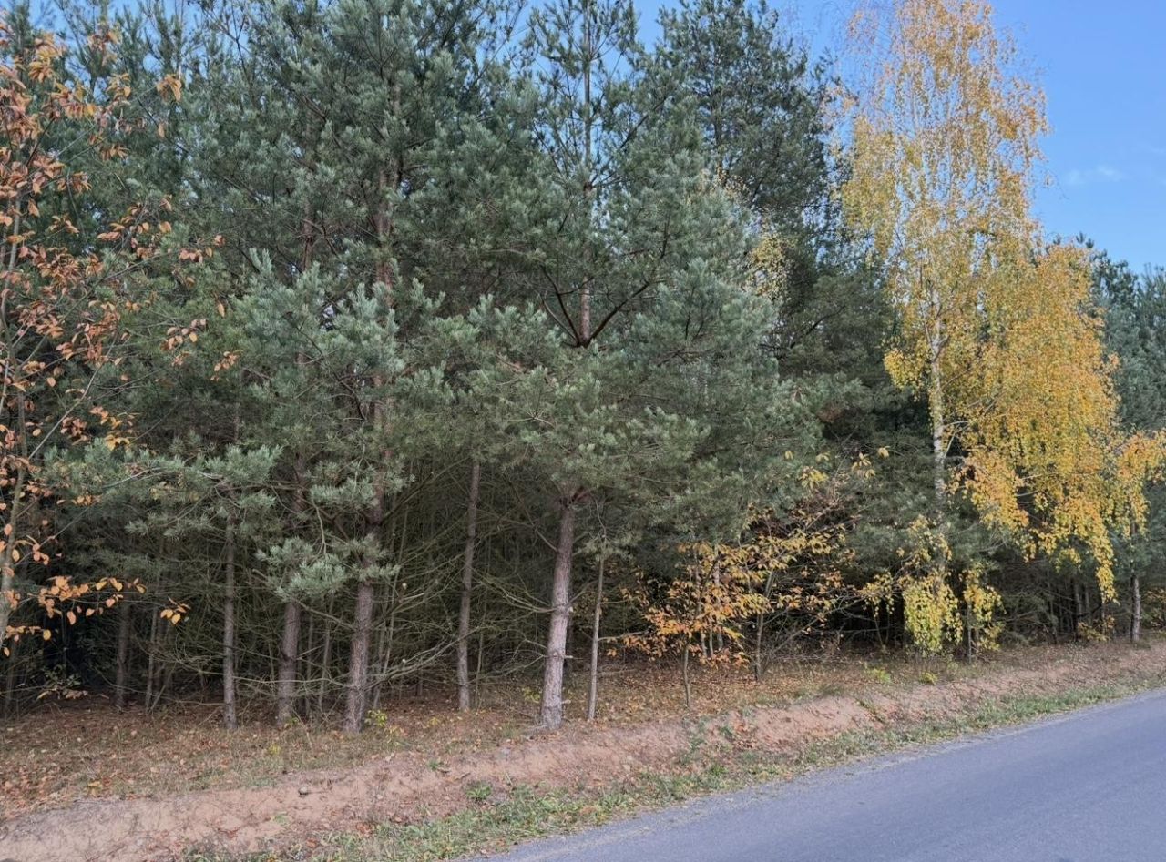 Działka budowlana Bartoszówka, ul. Pogodna. Zdjęcie 3