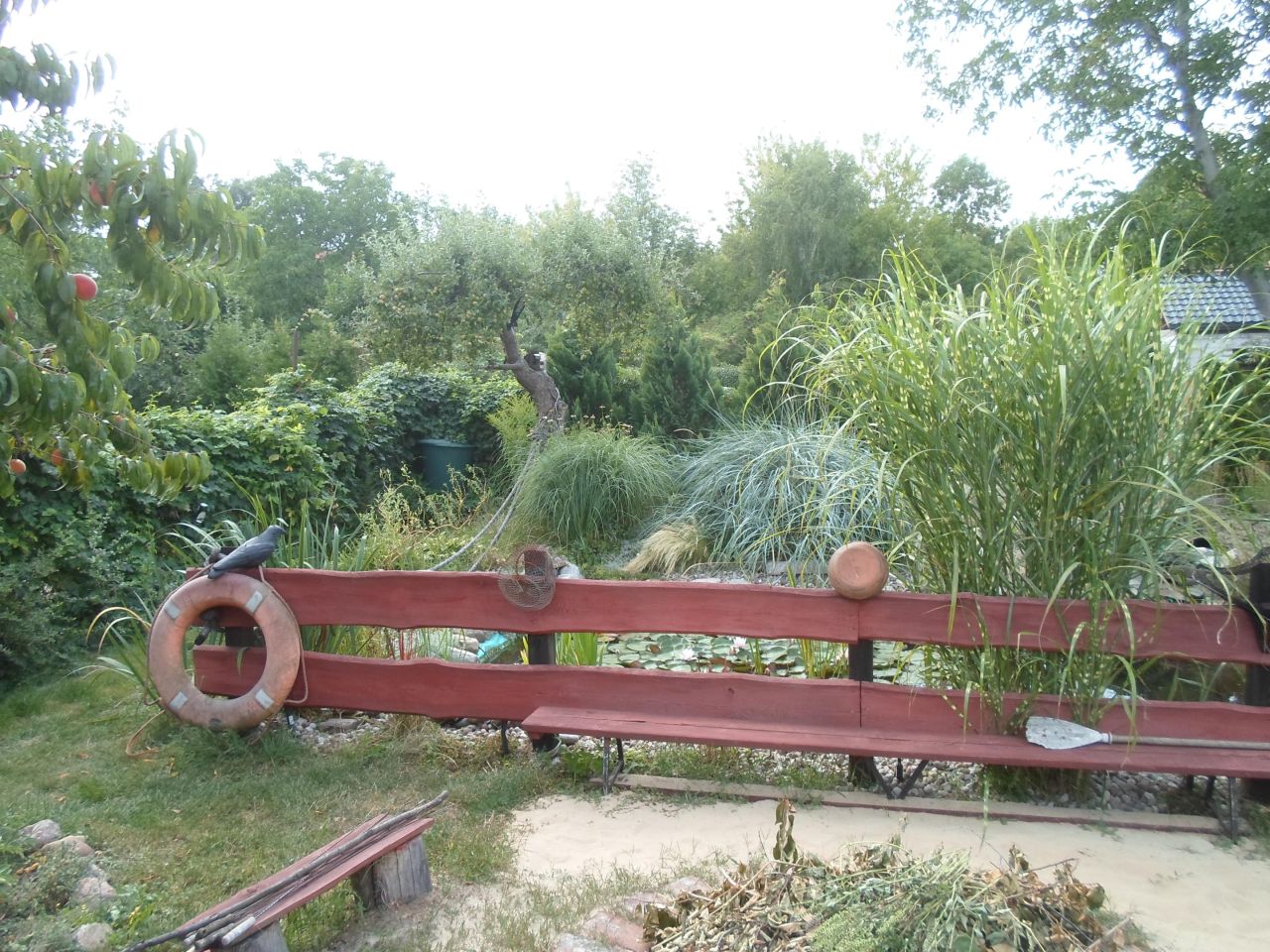 Działka rod Toruń Mokre, ul. Bolesława Chrobrego. Zdjęcie 15