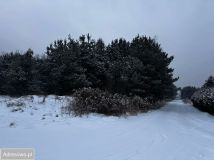 Działka budowlana Boruszowice, ul. Kaletańska