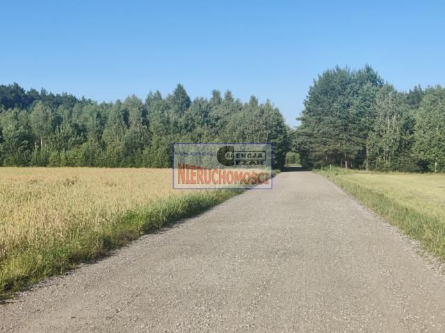 Działka rolno-budowlana Papiernia. Zdjęcie 12