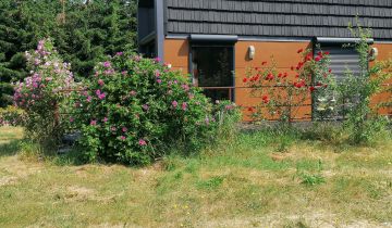 Działka siedliskowa Modła