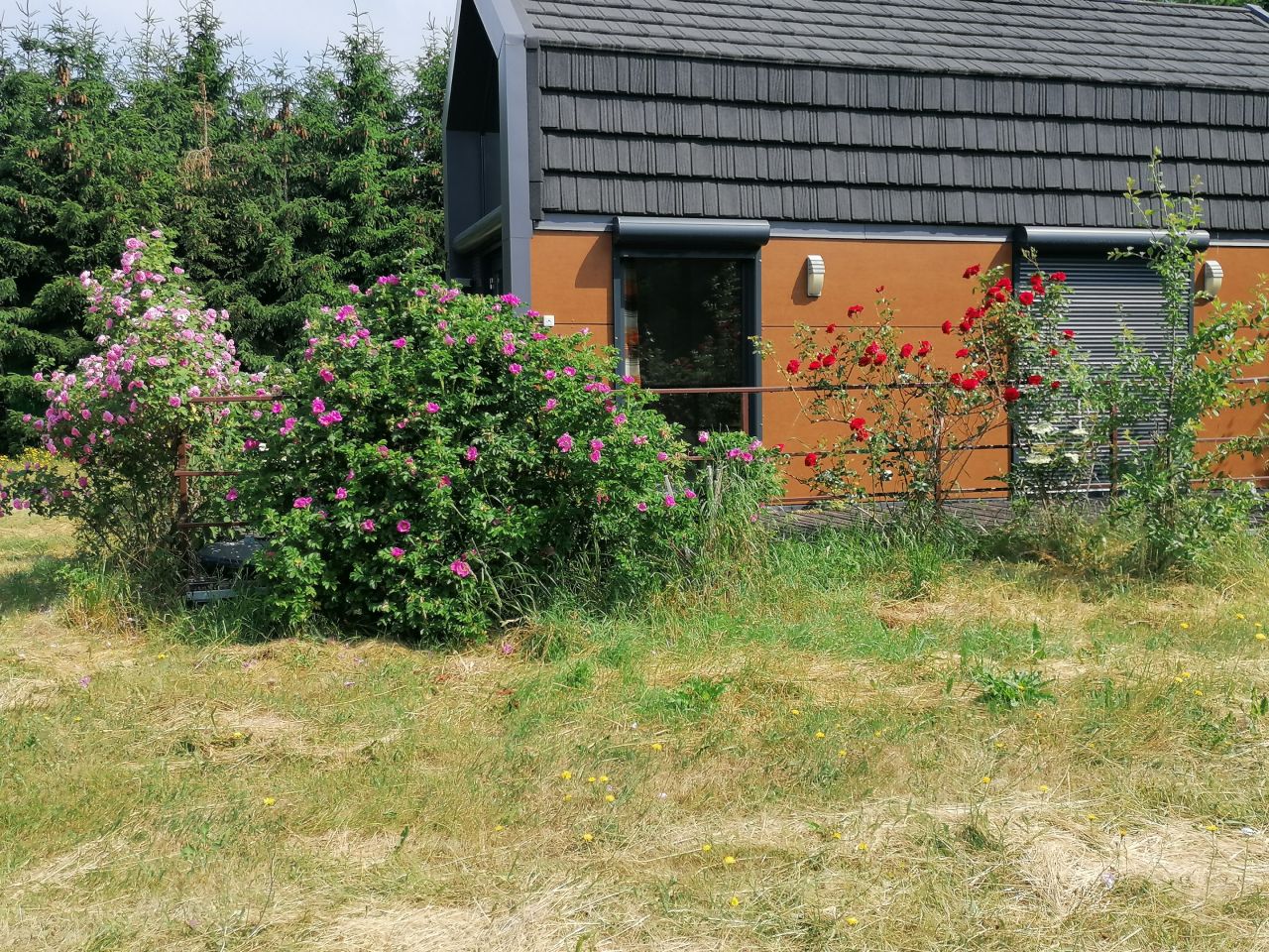 Działka rolno-budowlana Modła. Zdjęcie 2