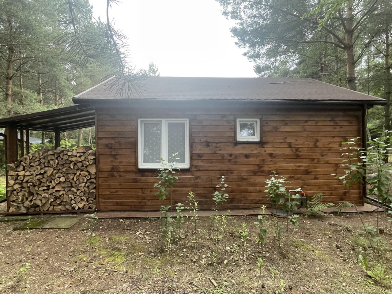 Działka leśna Kępiaste. Zdjęcie 4